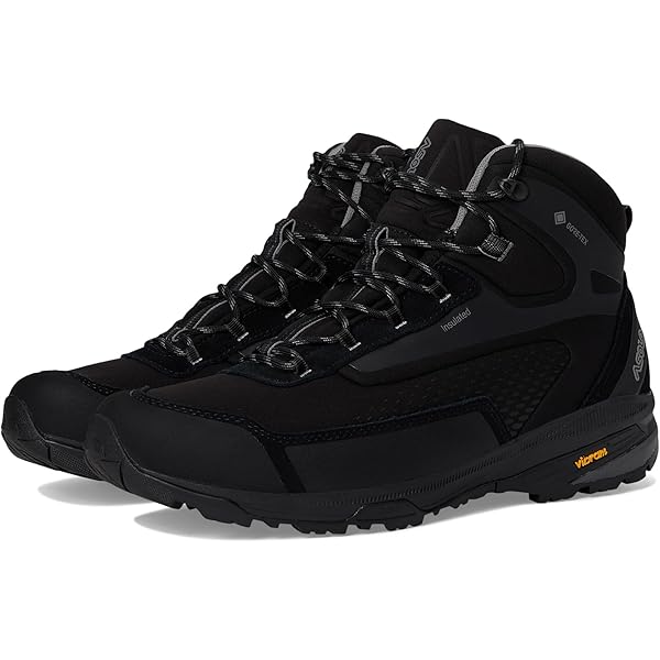Amazon.com | Asolo Mens 520 Winter GV Black 8 Medium | Snow Boots